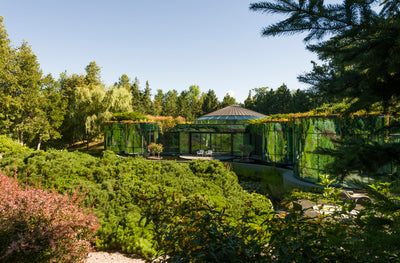 Kanata Rockeries 1